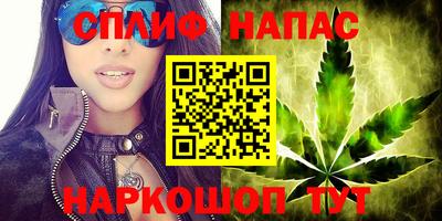 шишки Нарткала